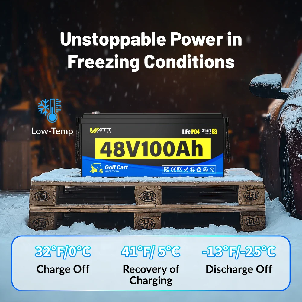 [Free Monitor] 48V 100Ah Golf Cart Bluetooth LiFePO₄ Lithium Battey - 200A BMS - Image 4