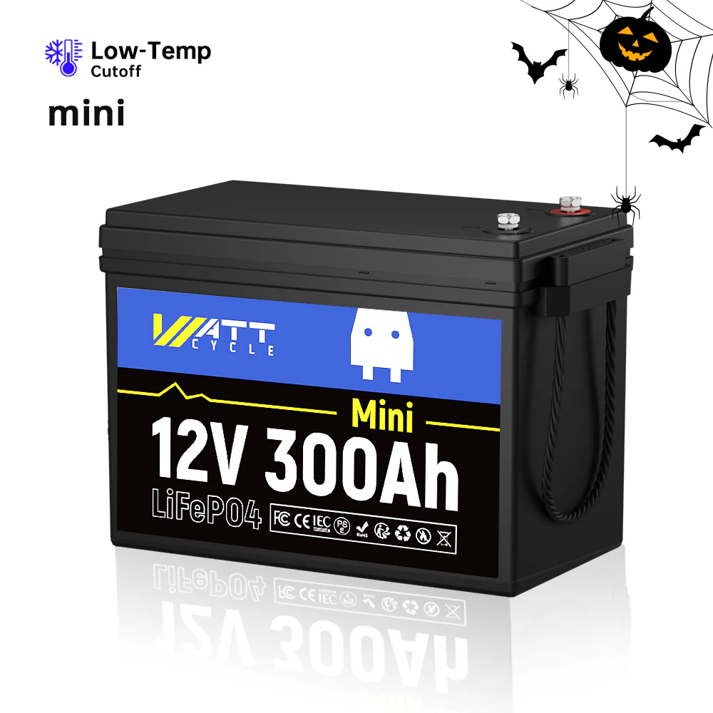 Like New - 12V / 24V / 48V LiFePO4 Battery - Image 4